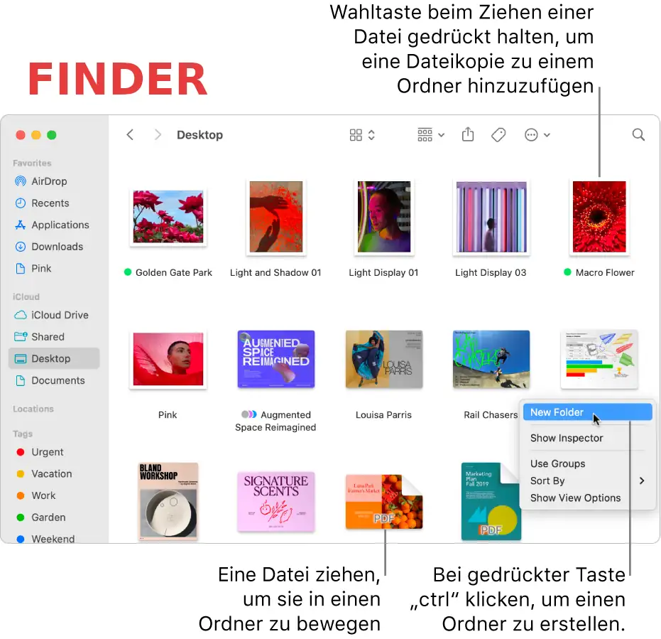 Finder
